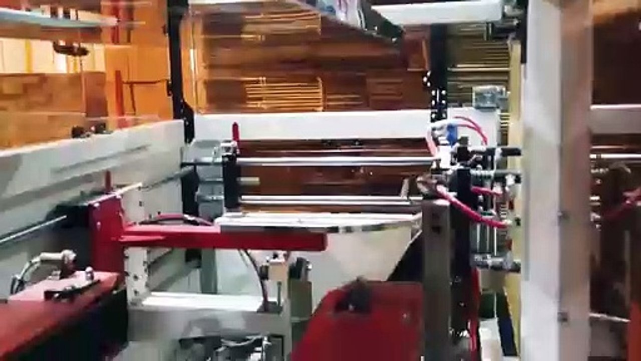 Automatic VFFS Packaging Machine Powder Bagging, Case Packer and Robotic Palletizing Line