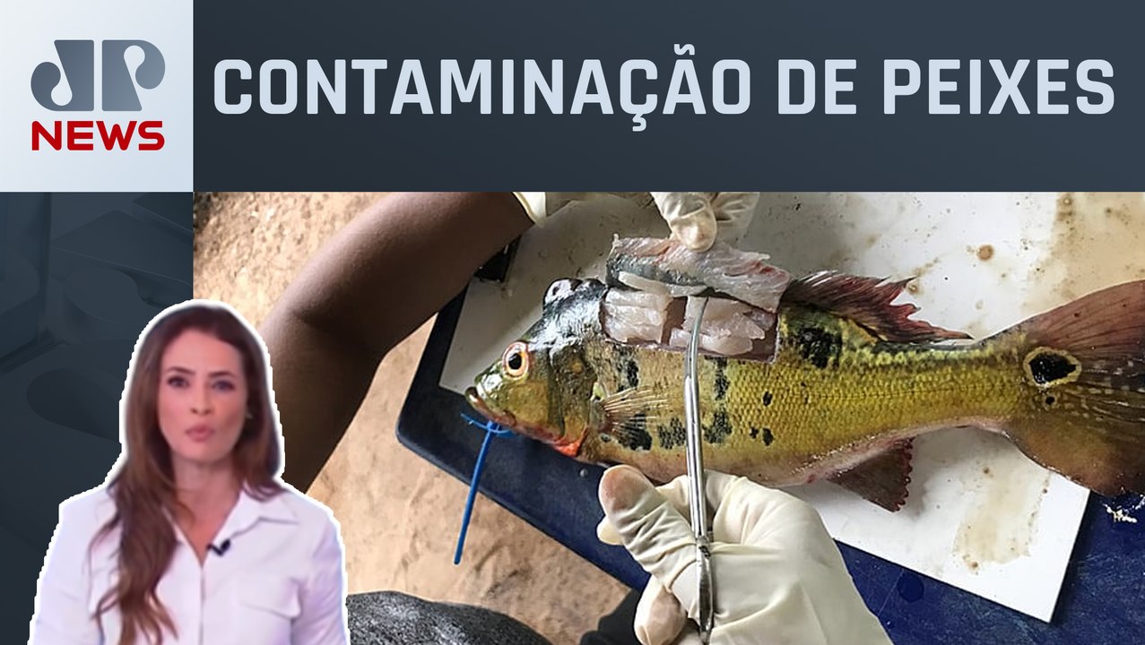 MPF abre consulta sobre uso de mercúrio em garimpos na Amazônia; Patrícia Costa analisa