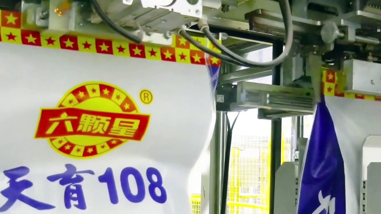 Seed Industry Secondary Packaging Machine Fully Automatic Bagging and Palletizing Line for Bag in Bag Packaging