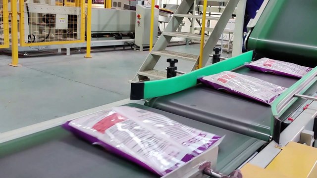 Bag in Bag Secondary Packing Machine 1KG 2KG Bag into PP Woven Master Bag