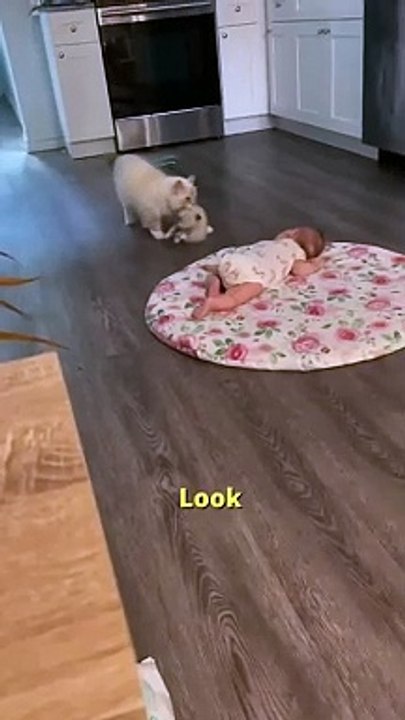 Summer showing Blossom her baby(360P)