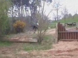 15 avril 2008 Last Pride Cross 2