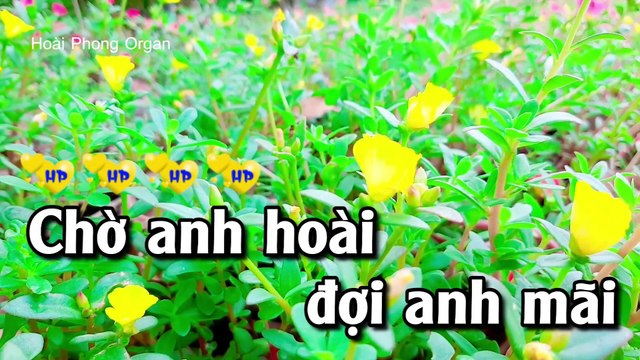 Karaoke Ru Nửa Vầng Trăng Tone Nữ (C#m) Nhạc Sống Dể Hát - Hoài Phong Organ