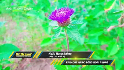 Karaoke Ngẫu Hứng Bolero Nhạc Sống Tone Nam Chuẩn - Hoài Phong Organ