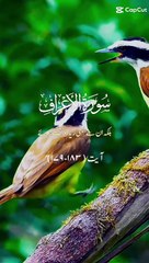 Quran tilawat allahoo akbar