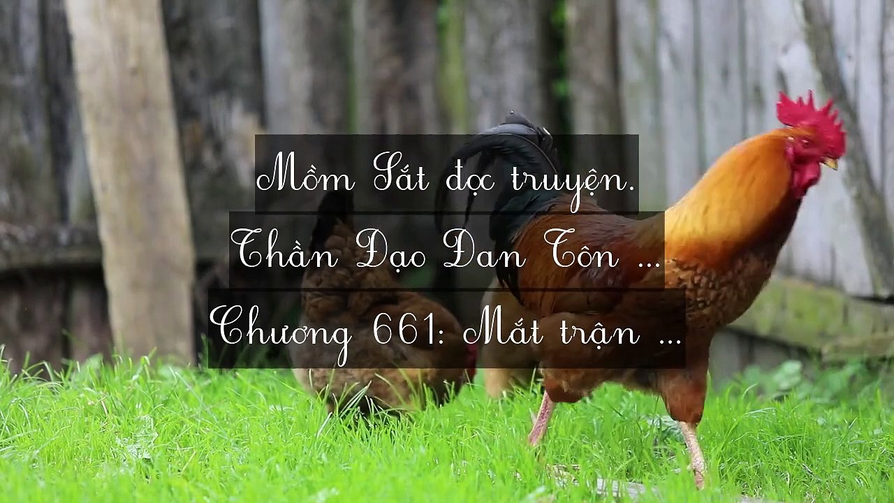Mới 2024 Chương 661-670: Thần Đạo Đan Tôn