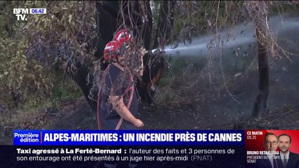 Mandelieu-la-Napoule: un hectare brûlé dans un feu de végétation, 150 pompiers mobilisés