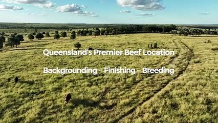 Moorabinda, Mitchell, Qld | July 23, 2024 | Farmonline