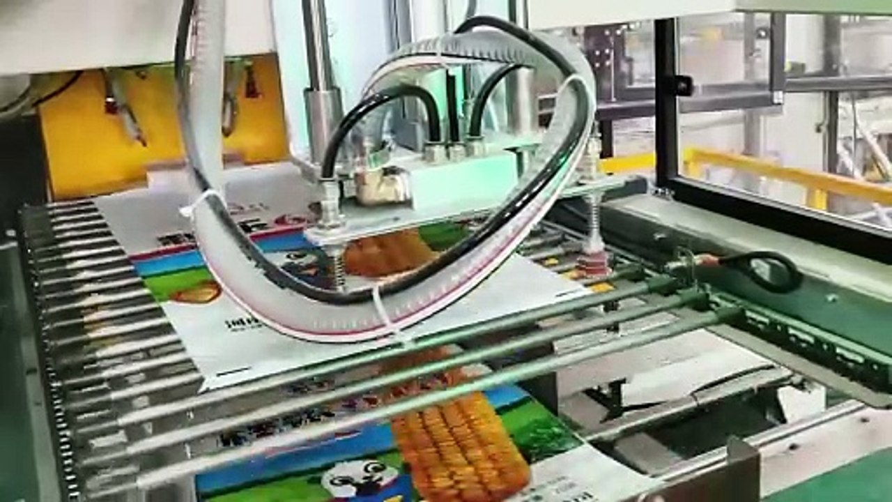 Secondary Packaging Bagger For Open Mouth PP Woven Bag-Automatic Pack 1kg & 2kg Primary Bags into PP Woven Master Bag