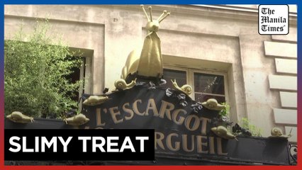 On your marks, get set, Escargot!