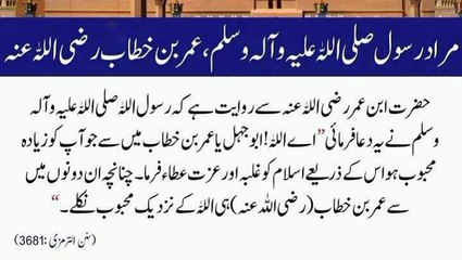 چنانچہ ان دونوں میں عمر بن خطاب اللہ کے نزدیک زیادہ محبوب نکلے ❣️☺️#trending#viral#shorts#dailymotion##islamic#foryou#share