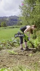 Plant Seeds, Not Just Harvests