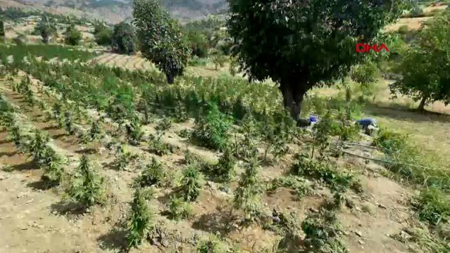 16 ildeki 'Narkoçelik-28' operasyonlarında, 40 şüpheli tutuklandı