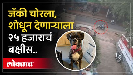 ' ते दुचाकीवरून आले, जॉकीला चोरून घेऊन गेले..