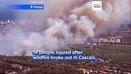 Firefighters continue to battle blazes in Portugal, North Macedonia and Bulgaria