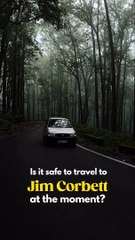 Resort in Jim Corbett