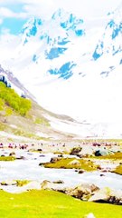 Beautiful place very beauty thing green green garden #beautyfull#green#garden#very