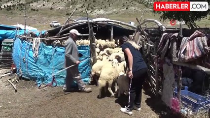 Malatyalı göçerler bin 800 rakımda zorlu mesaide