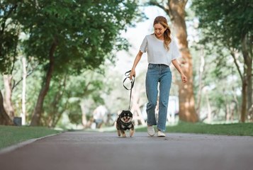 Une étude confirme les bienfaits surprenants de la vie à proximité d’espaces verts pour la santé de notre cerveau