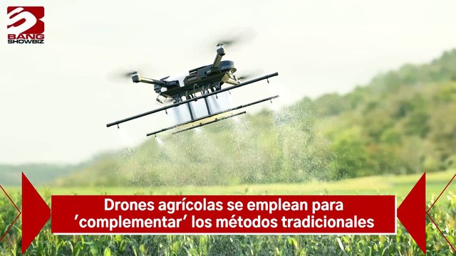 Drones agrícolas se emplean para 'complementar' los métodos agrícolas tradicionales, no para 'competir'