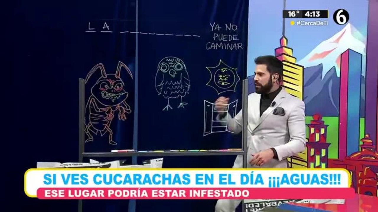¿Por qué casi no se ven cucarachas de día?