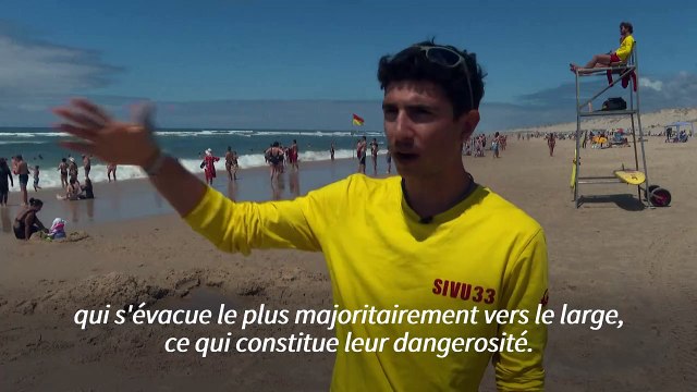 Alerte aux baïnes sur les plages girondines: à Carcans, les baigneurs vigilants