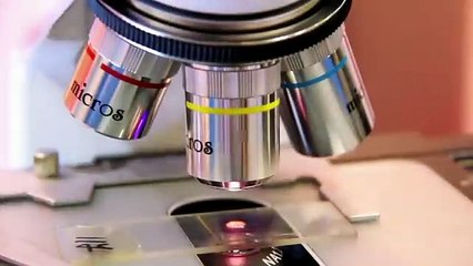 3000 Years Old Hidden Treasure Found in Egypt - Part 2