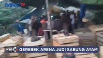 Polisi Gerebek Arena Judi Sabung Ayam di Purwakarta, Jawa Barat