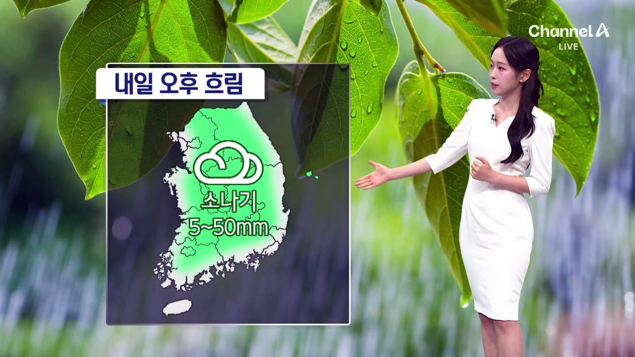 [날씨]아침까지 중부지방 폭우…폭염·열대야 기승