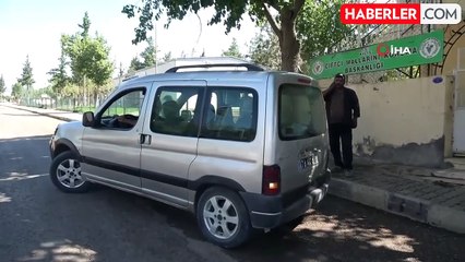 Fıstık hırsızları kıskıvrak yakalandı