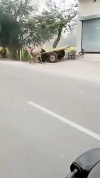 Racing without driver | funny racing car without driver| running accident without driver