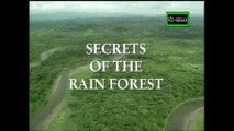 Misión Tierra: Los secretos de la selva de Lluvia - Documental (1996) Español Latino