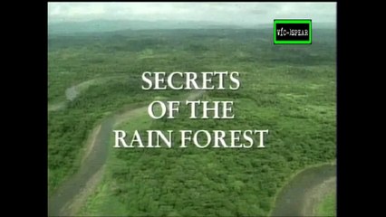 Misión Tierra: Los secretos de la selva de Lluvia - Documental (1996) Español Latino
