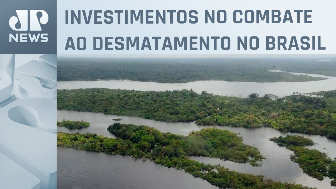 União Europeia anuncia doação de € 20 milhões ao Fundo Amazônia
