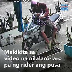 Tải video: Cat-napper! Motorycle rider, nagnakaw ng alagang pusa  | GMA Integrated Newsfeed