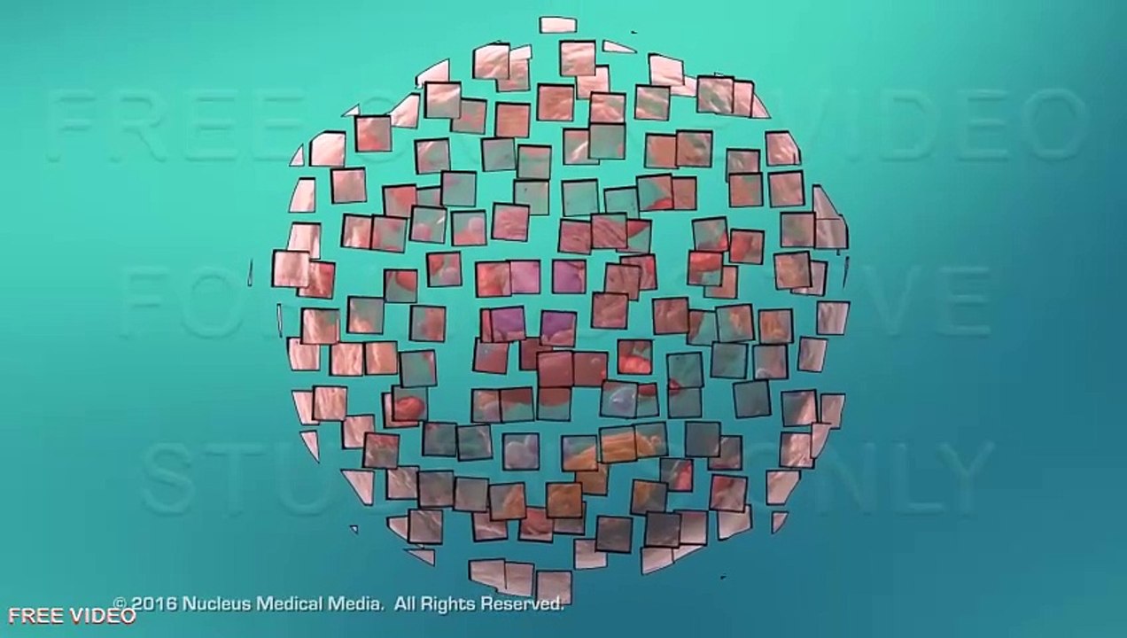 2. A. Structure of the Cell Membrane