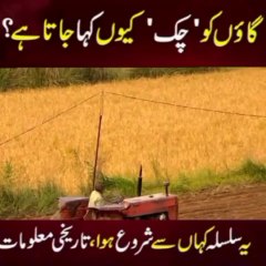 Gaon ya dehat ko chack kis leay kahtey Hain or gaon k Naam k Sath nomber ka kia Matlab ha