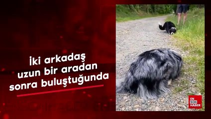 İki arkadaş uzun bir aradan sonra buluştuğunda