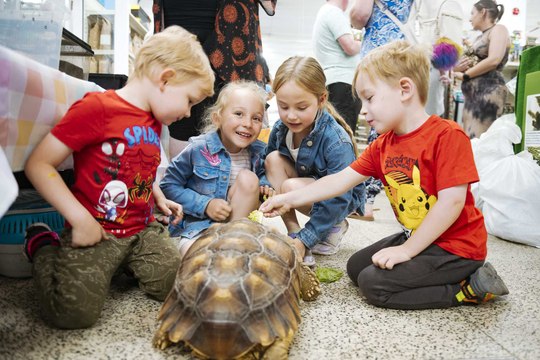 Summer Holidays Animal Handling Session at Stafford Pets and Aquatics