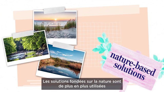 Solutions naturelles : la nature, meilleure alliée de l'eau face au réchauffement climatique