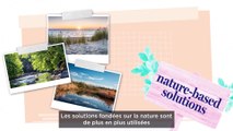 Solutions naturelles : la nature, meilleure alliée de l'eau face au réchauffement climatique