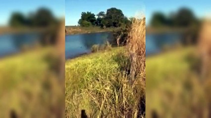 Bombeiros fazem busca por moto roubada de sítio onde filha de deputado foi achada morta em MS