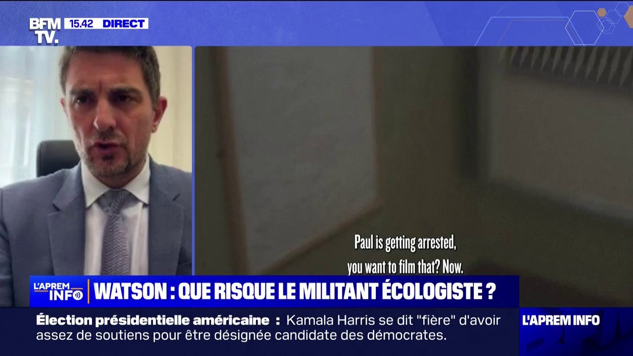 Arrestation de Paul Watson, fondateur de l'ONG Sea Shepherd au Groënland: "Une extradition vers le Japon serait tragique" selon son avocat, Me Jean Tamalet