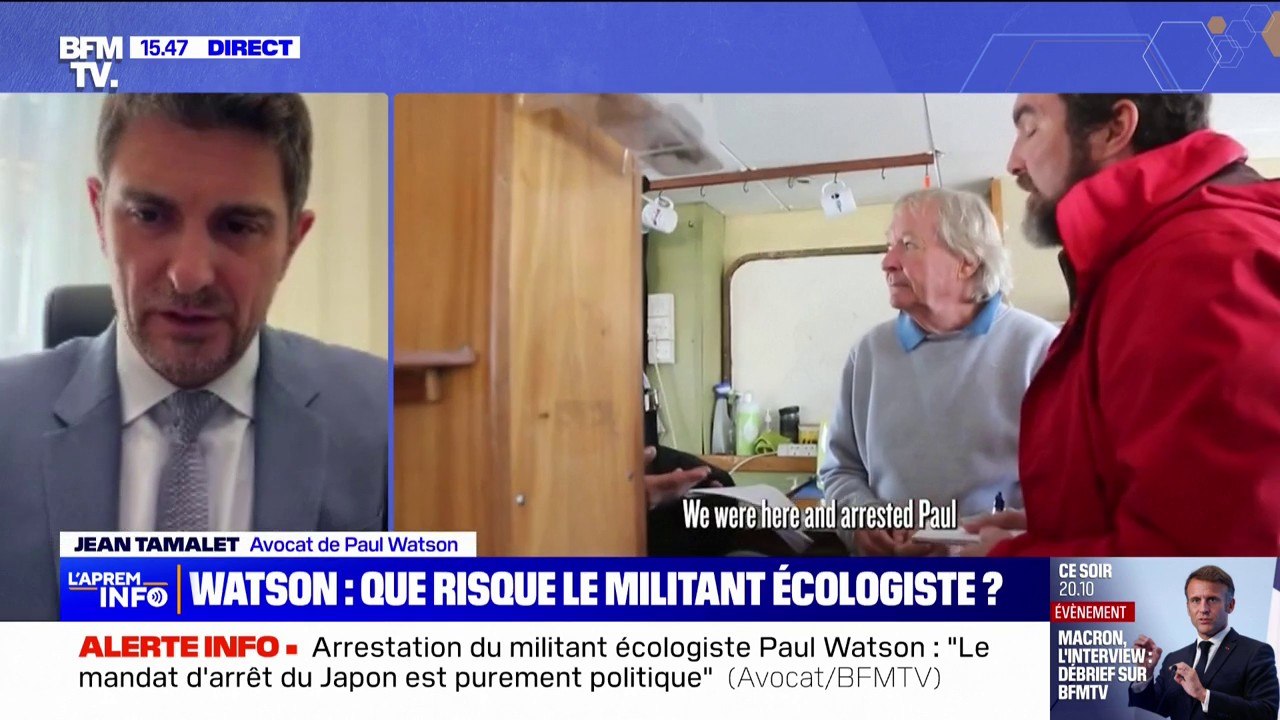 Sea Shepherd: l'avocat de Paul Watson, fondateur de l'ONG, dénonce "un guet-apens" après l'arrestation de son client au Groënland