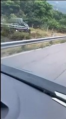 Vezzano, cucciolo di orso resta impigliato nella rete di protezione