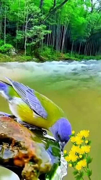 Beautiful ❤️ Nature