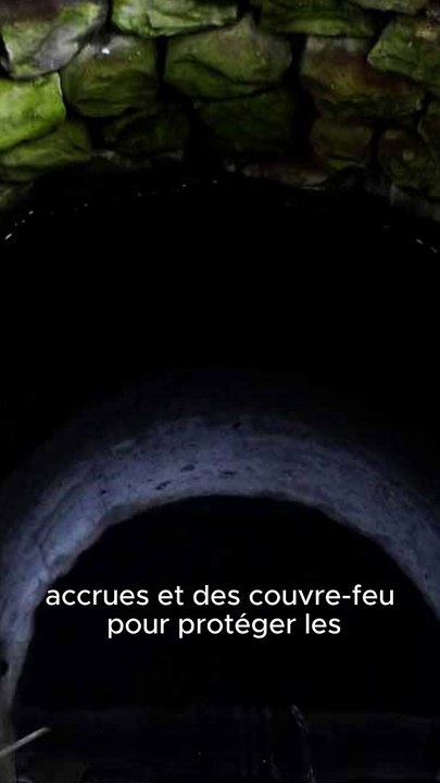 L'Affaire des Enfants Disparus de Westfield