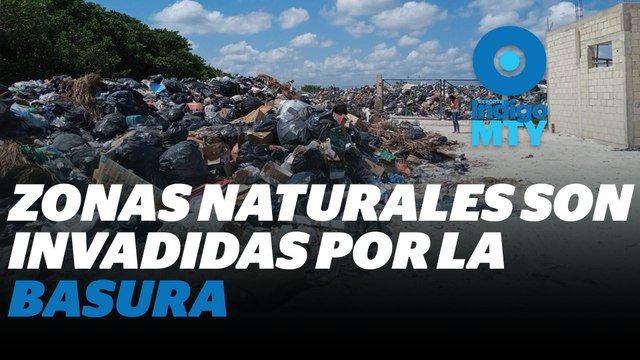 Recolección de residuos en sectores de difícil acceso | Reporte Indigo