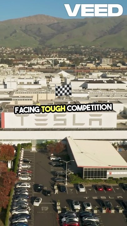 Tesla's Profit Dip Sparks Wall Street Worries