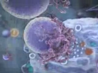 Expelled Movie Clip Exclusive Cellular Technology Explained